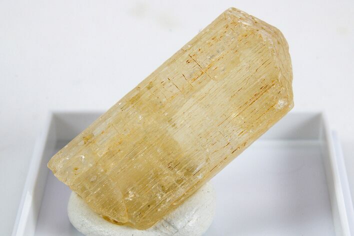 Terminated Yellow Marialite (Scapolite) Crystal - Tanzania #345757